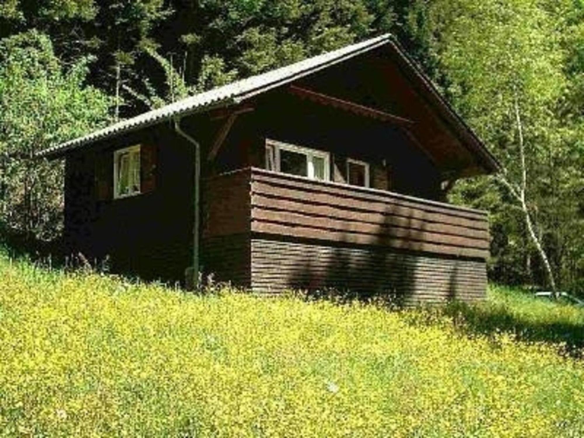 Ferienhaus Arthurhuette In Hohenweiler Villa Exterior photo