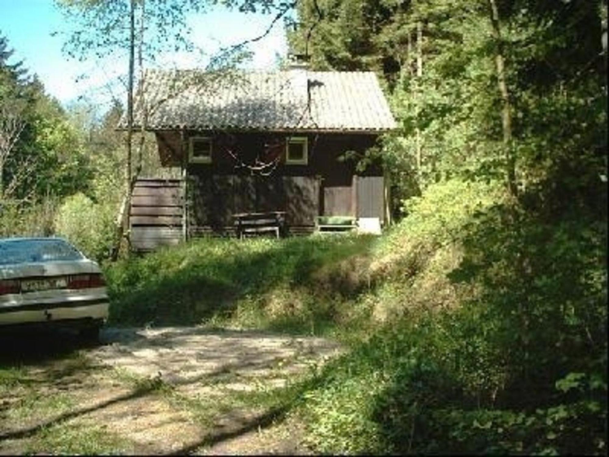 Ferienhaus Arthurhuette In Hohenweiler Villa Exterior photo